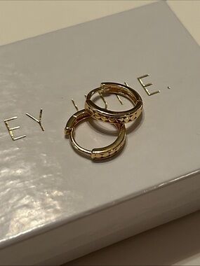 Hey June Hoop of the Month, NIB, gold filled